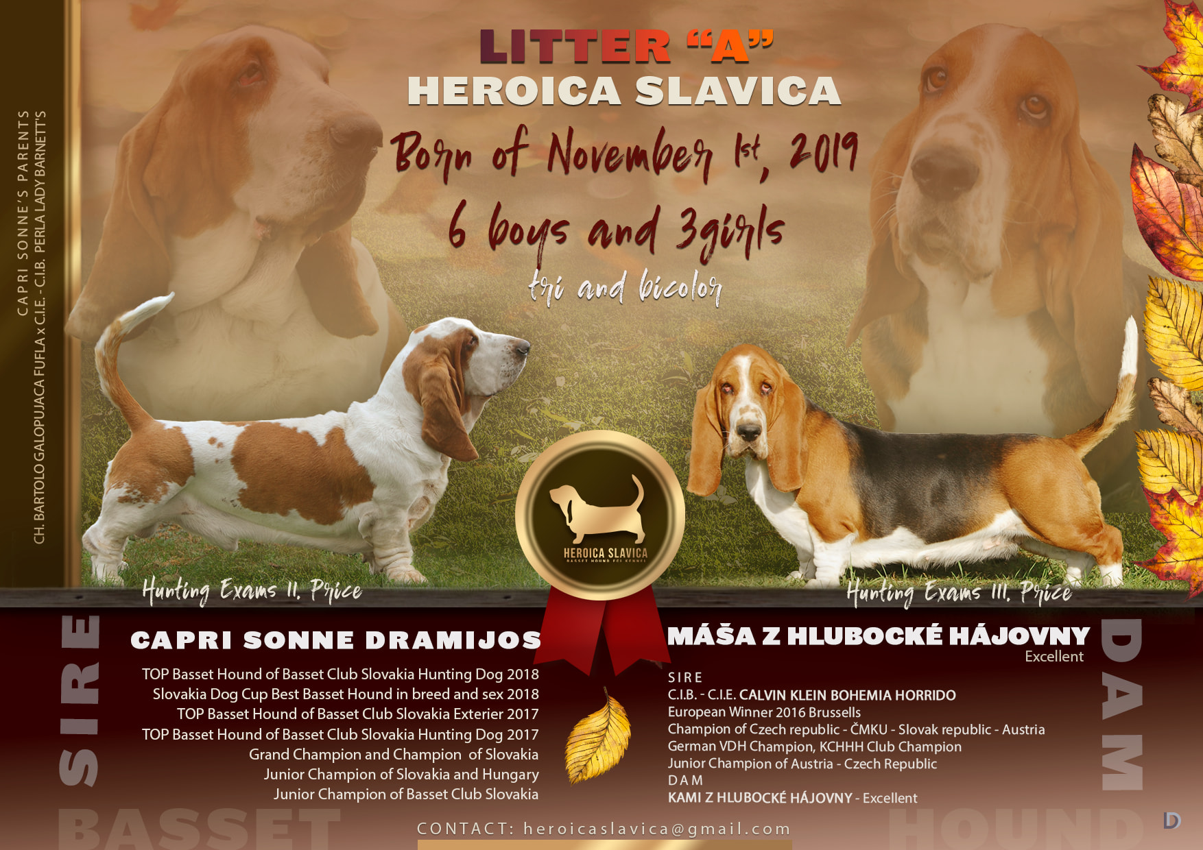 Vrh A Heroica Slavica