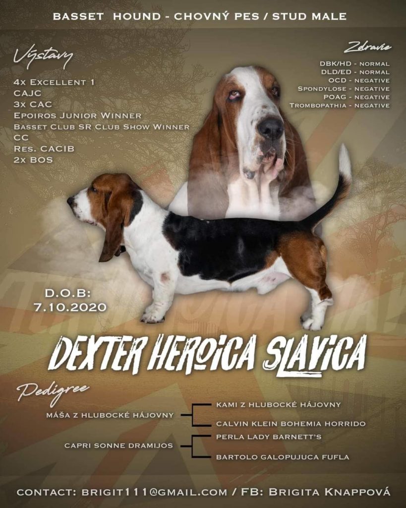 Dexter Heroica Slavica